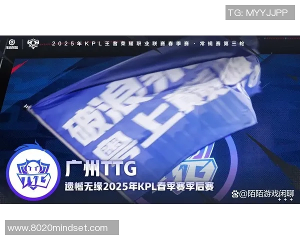 聚焦王者荣耀TES战队技术创新与战术分析探讨 聚焦王者荣耀TES战队技术创新与战术分析探讨